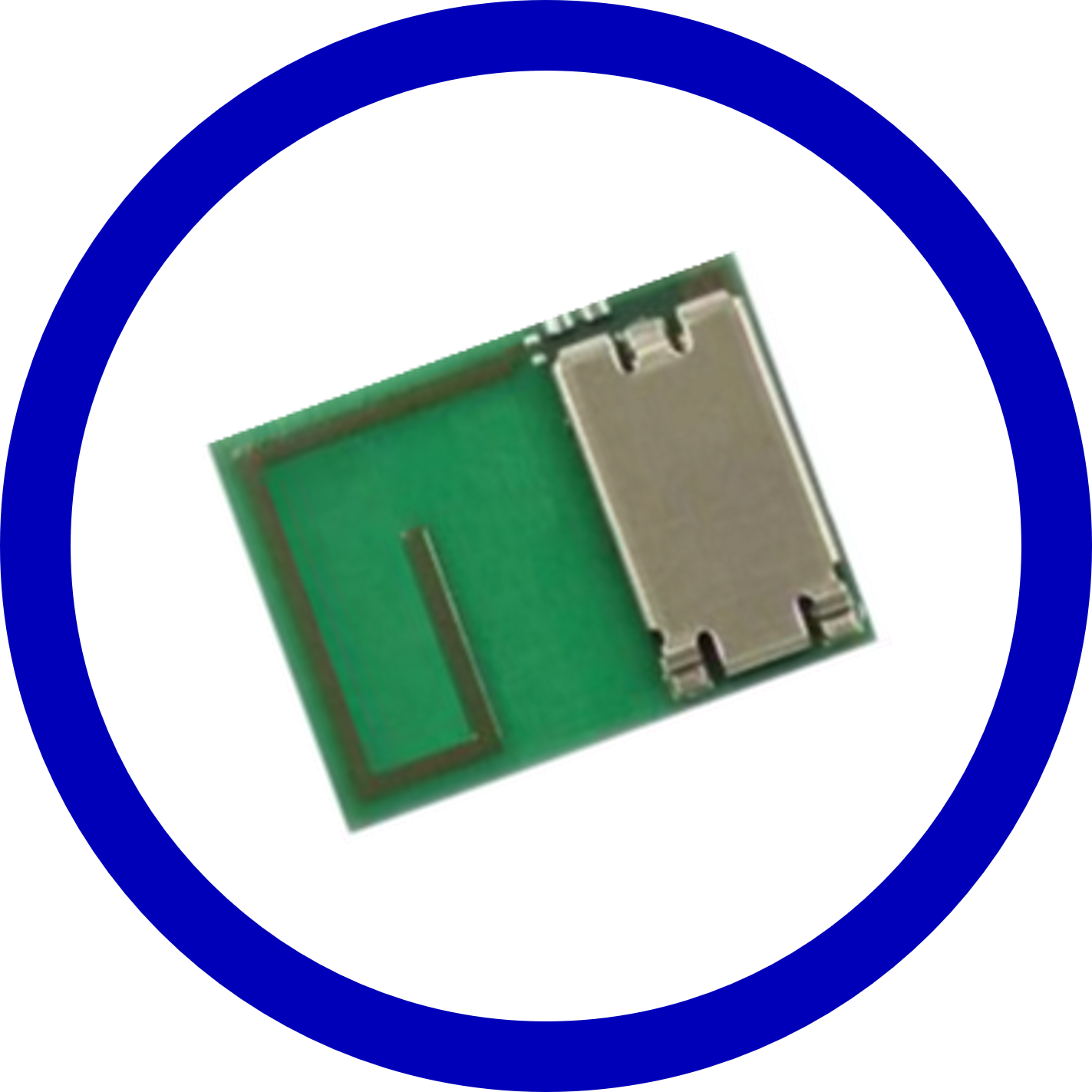 【10/19新入荷】❣️プードルトランスパラントｎ　Ｍ　1 ライト❣️本体 beruosa_s-b0bbpq1q6m-20231024