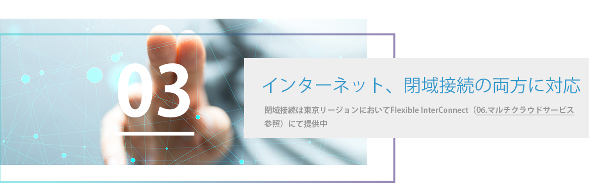 インターネット、閉域接続の両方に対応