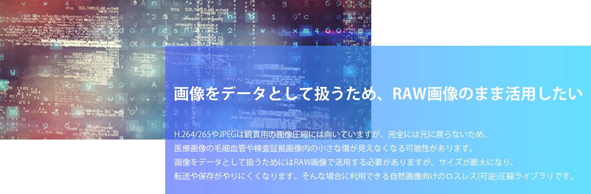 画像をデータとして扱うため、RAW画像のままデータ活用したい