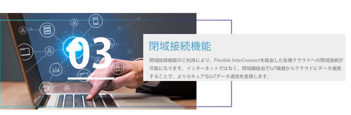閉域接続可能