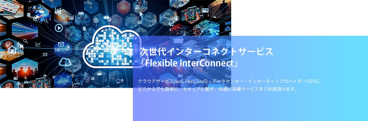 次世代インターコネクトサービス 「Flexible InterConnect」